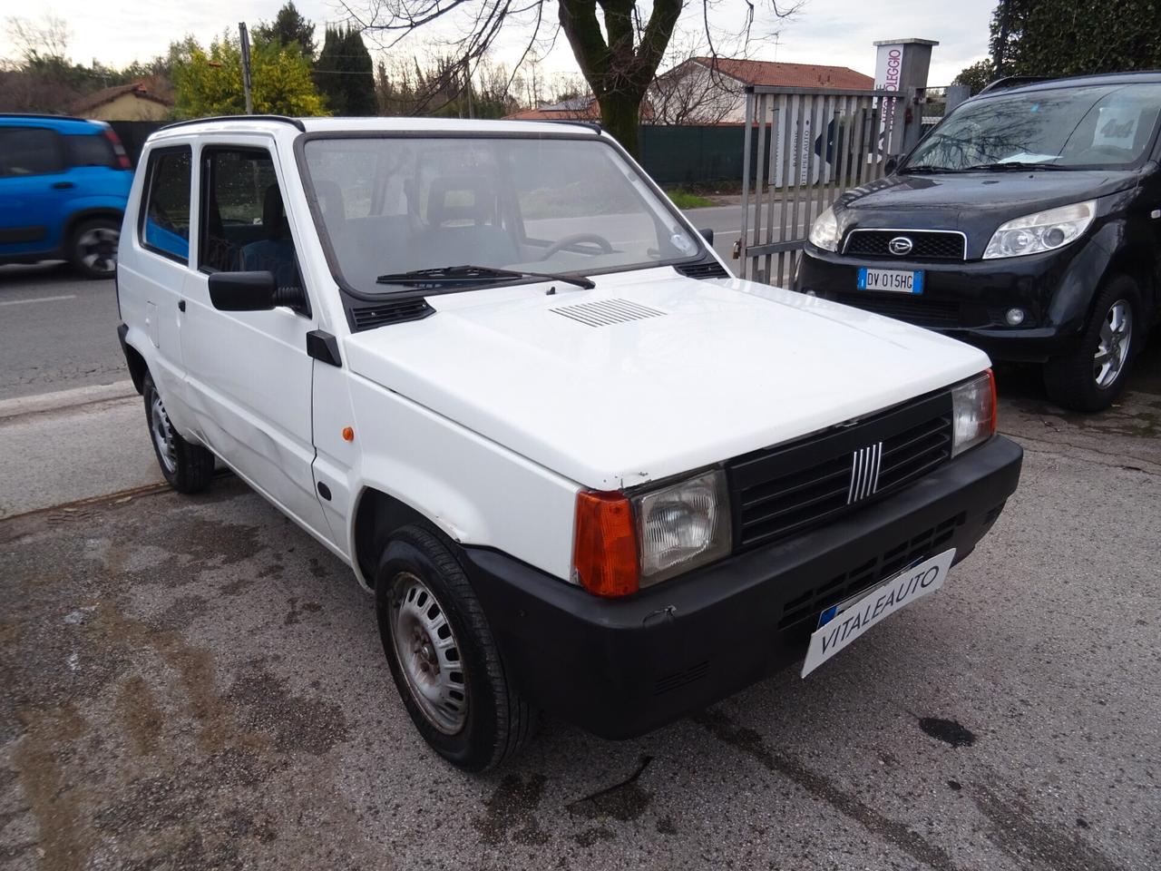 Fiat Panda 1100 i.e. cat Young