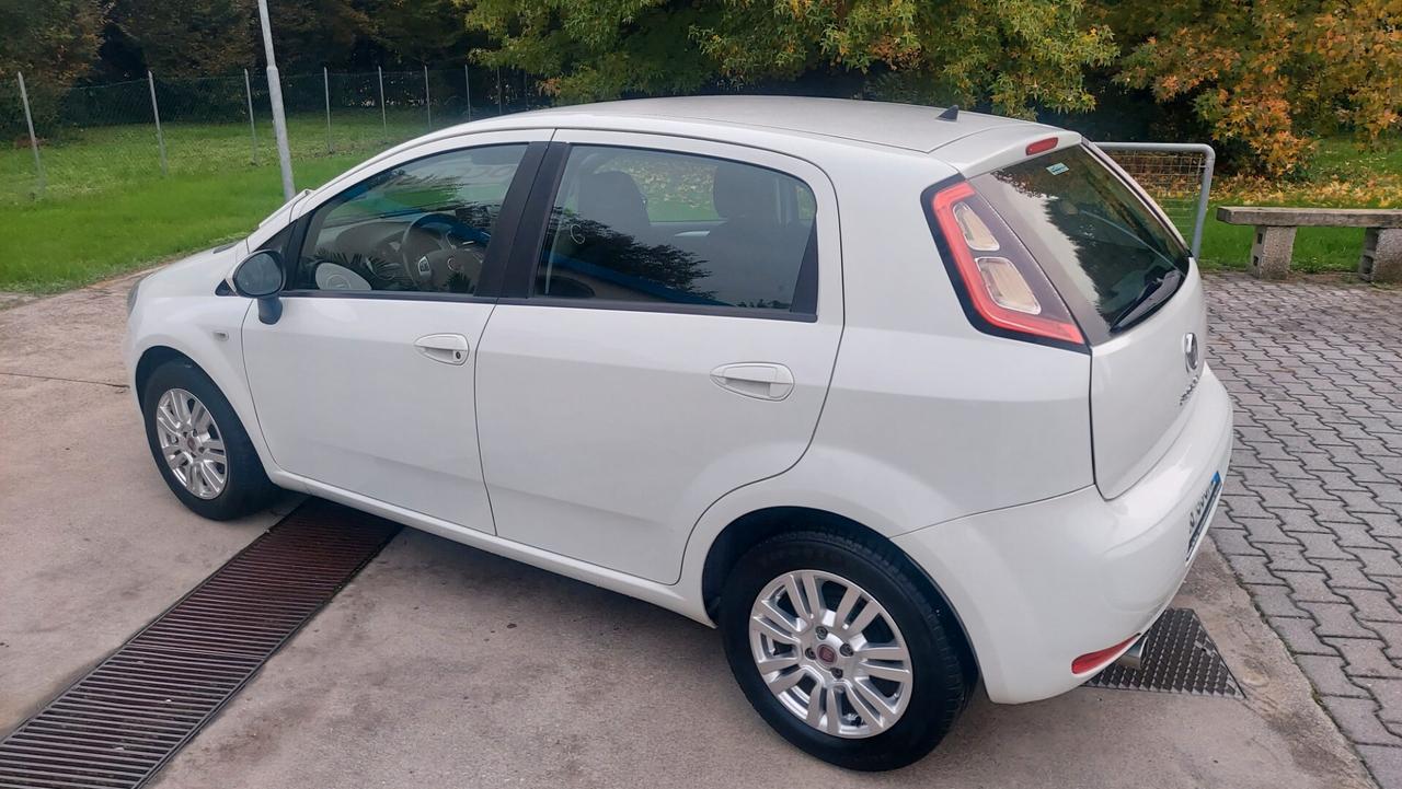 Fiat Punto 1.2 8V 5 porte Lounge - Neopatentati