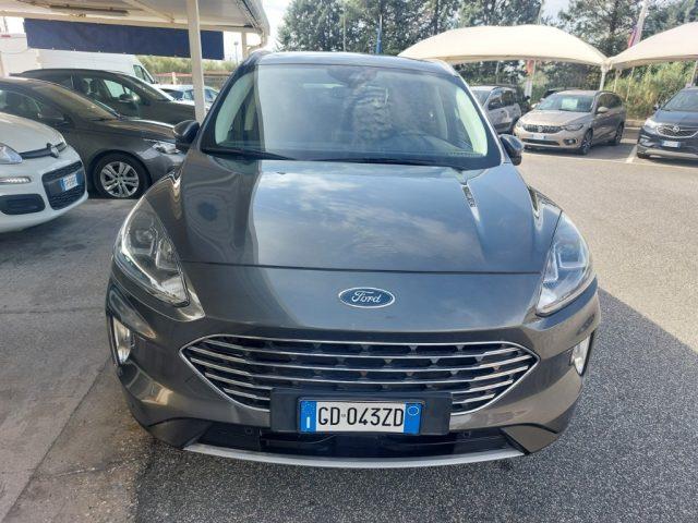 FORD Kuga 1.5 EcoBlue 120 CV 2WD Titanium Business