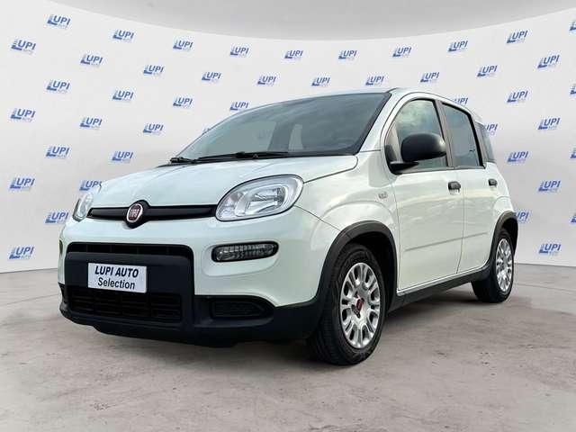 Fiat Panda 1.0 firefly hybrid s&s 70cv 5p.ti