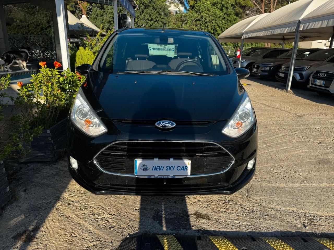 Ford B-Max 1.5 TDCi 95 CV Business Titanium
