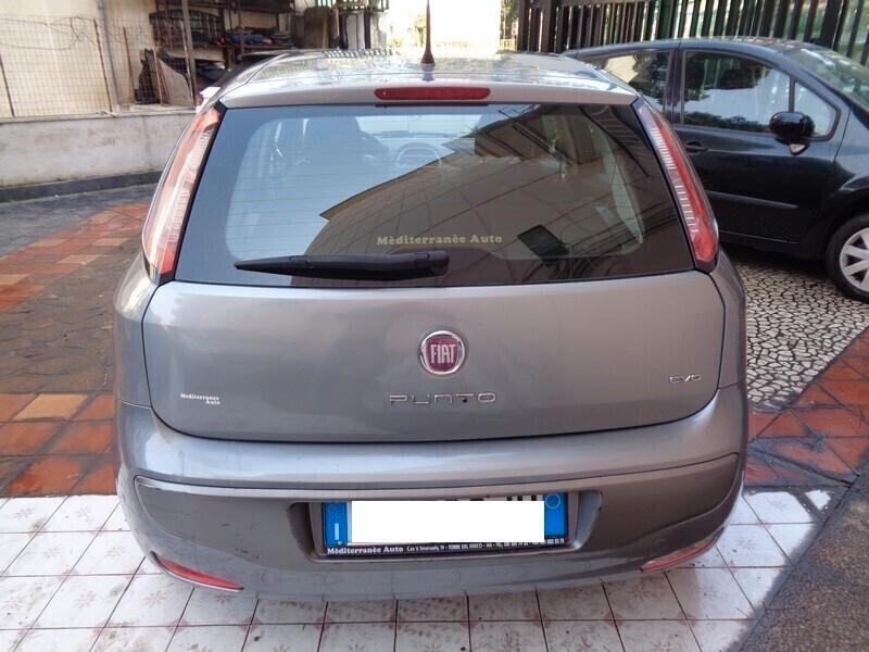 Fiat Punto Evo 1.2 5 porte Dynamic GPL