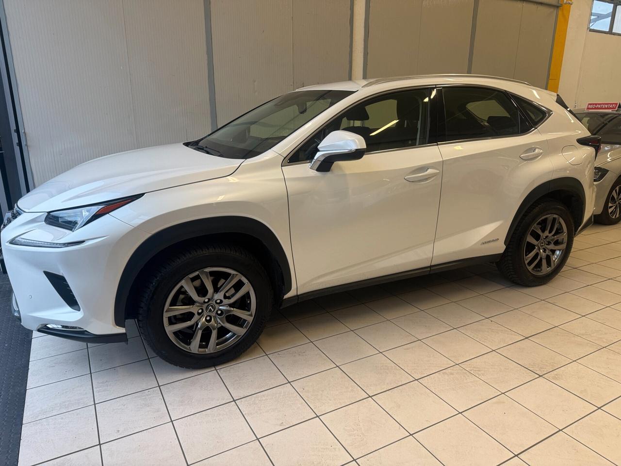 Lexus NX 300h hybrid 2.5 Business 2wd cvt