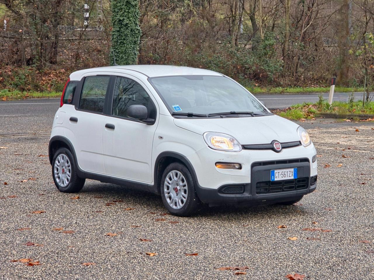 Fiat Panda 1.0 FireFly S&S Hybrid 2024-E6 Manuale NEO