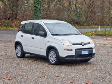 Fiat Panda 1.0 FireFly S&S Hybrid 2024-E6 Manuale NEO