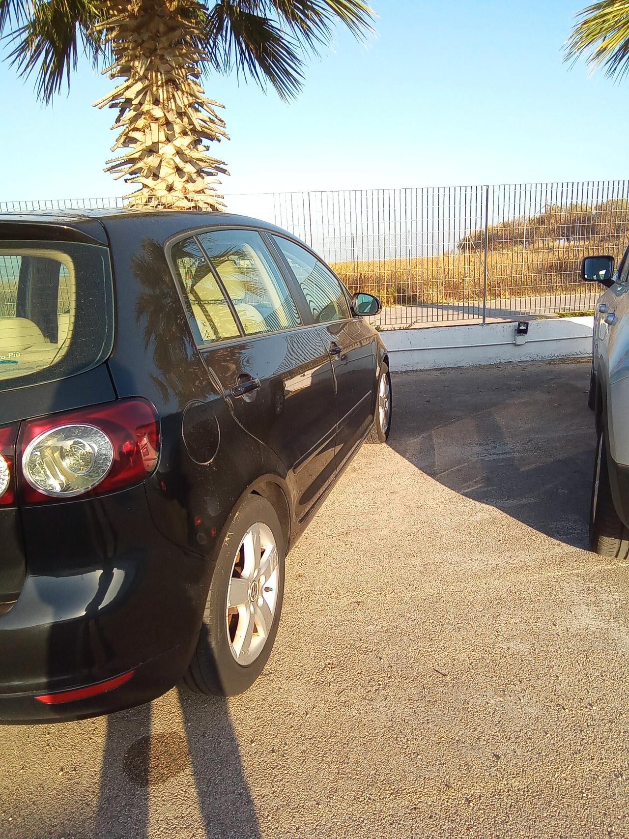 Volkswagen Golf Plus Golf 1.9 TDI DPF 5p. Comfortline