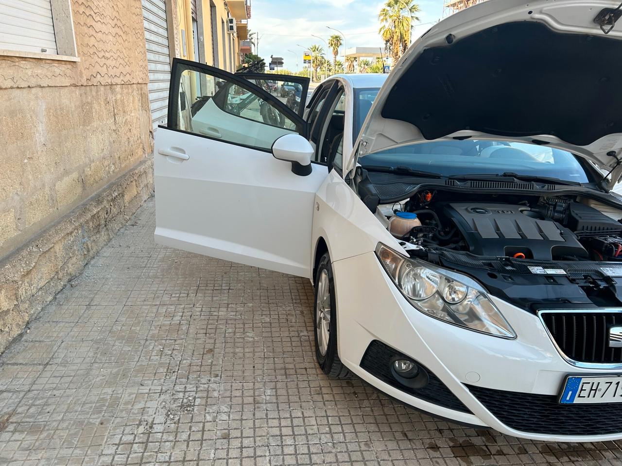 Seat Ibiza 1.6 TDI CR DPF 5 porte Style