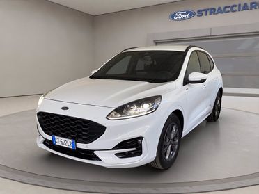 FORD Kuga 2.0 ecoblue ST-Line 2wd 120cv auto del 2024