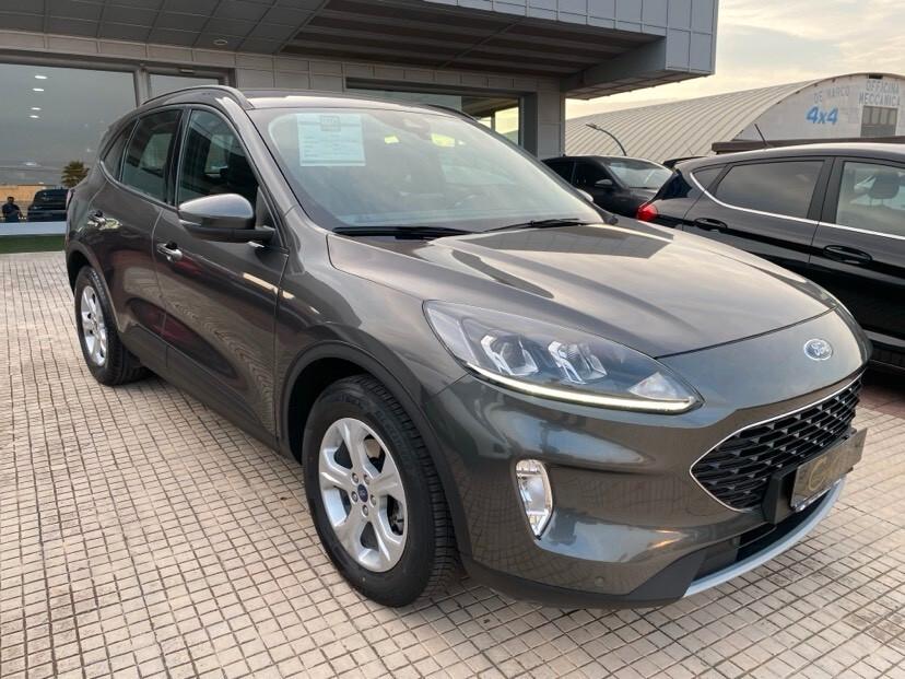 Ford Kuga 1.5 EcoBlue 120 CV 2WD Connect