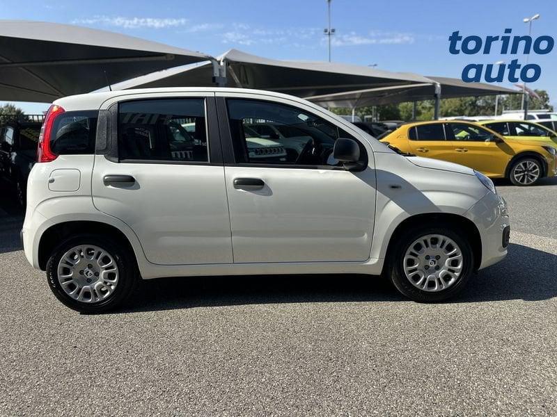 FIAT Pandina 1.0 FireFly 65cv S&S 6m Hybrid Icon