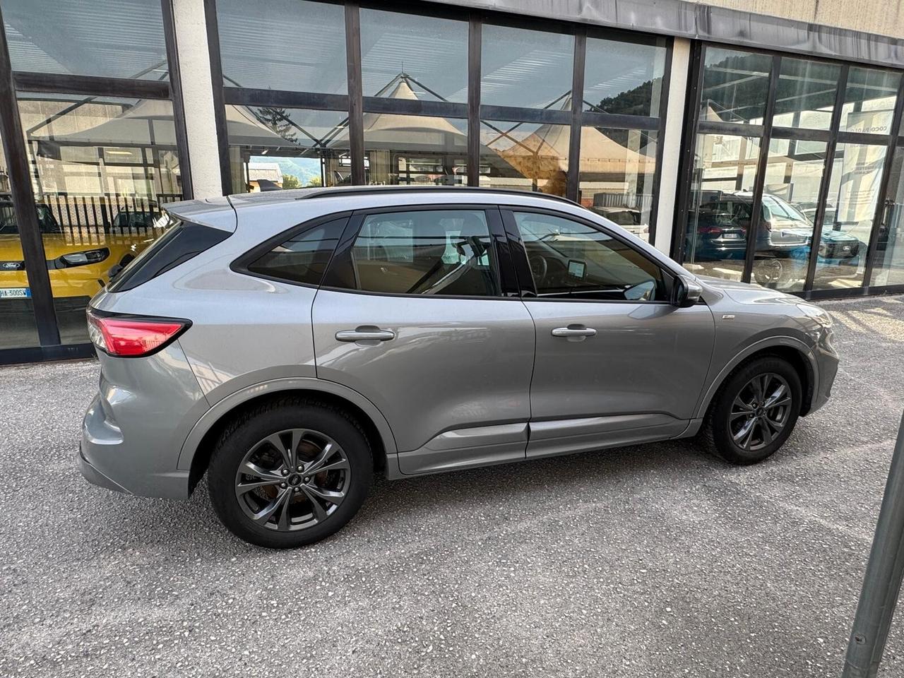 Ford Kuga 1.5 EcoBlue 120 CV aut. 2WD ST-Line