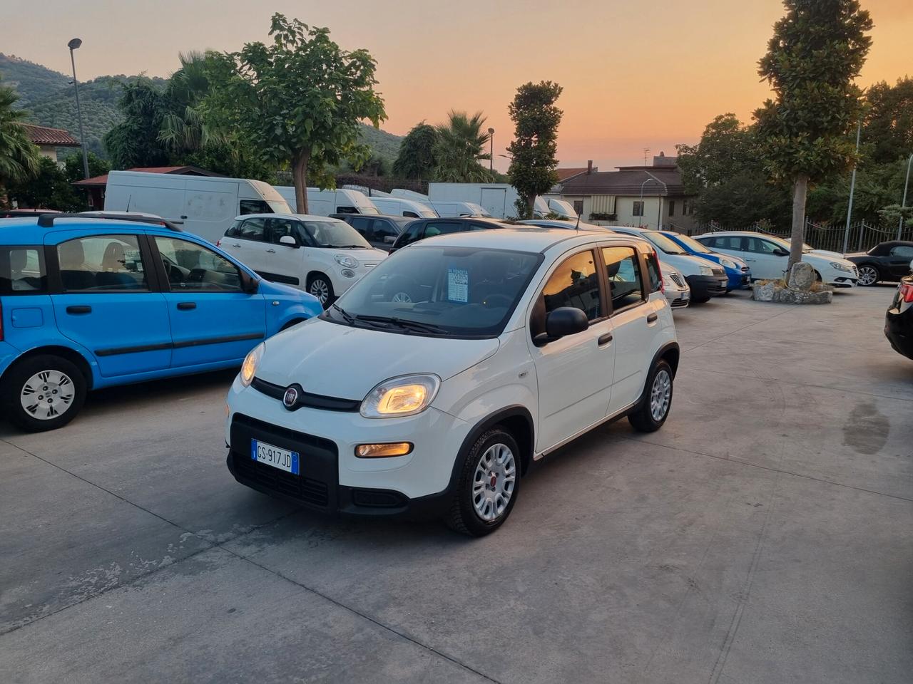 Fiat Panda 1.0 FireFly S&S Hybrid City Life - 10/2023