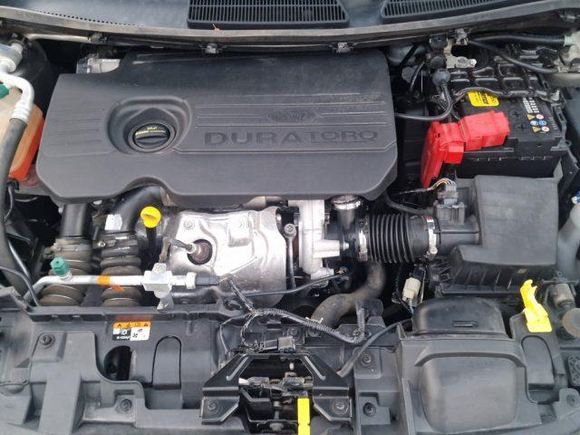 FORD Fiesta 1.5 TDCi 75CV 5 porte Titanium