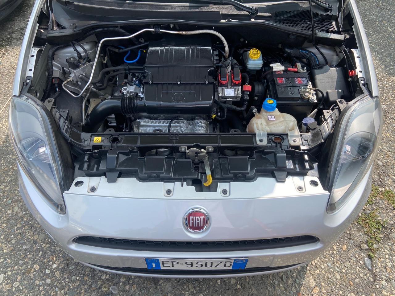 Fiat Punto 1.4 Benz 8V 5 porte Lounge 2013 EURO5B