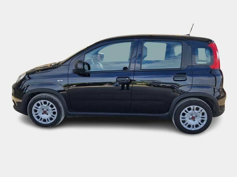 FIAT PANDA 1.0 FireFly 70cv S/S Hybrid 5 PORTE