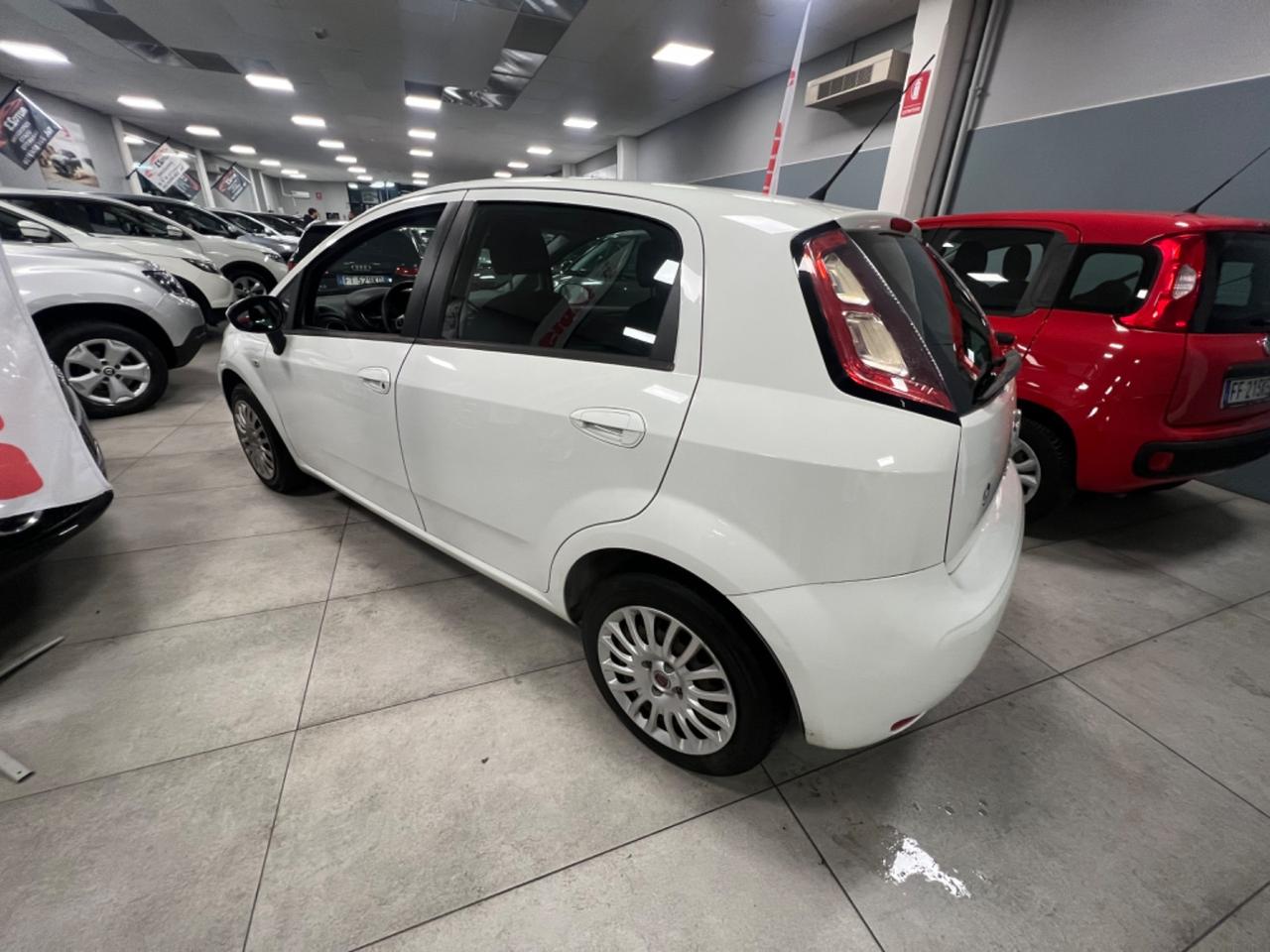 Fiat Punto 1.2 8V 5 porte Lounge 69CV Ok Neopatentati