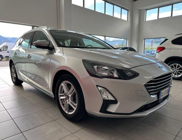 FORD Focus 1.5 EcoBlue 120 CV SW Business