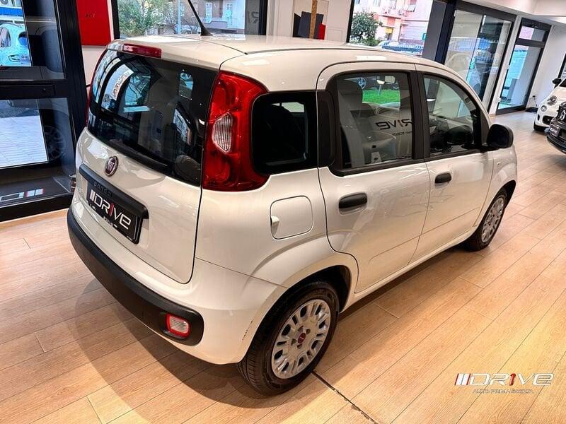 FIAT Panda Panda 1.2 Easy