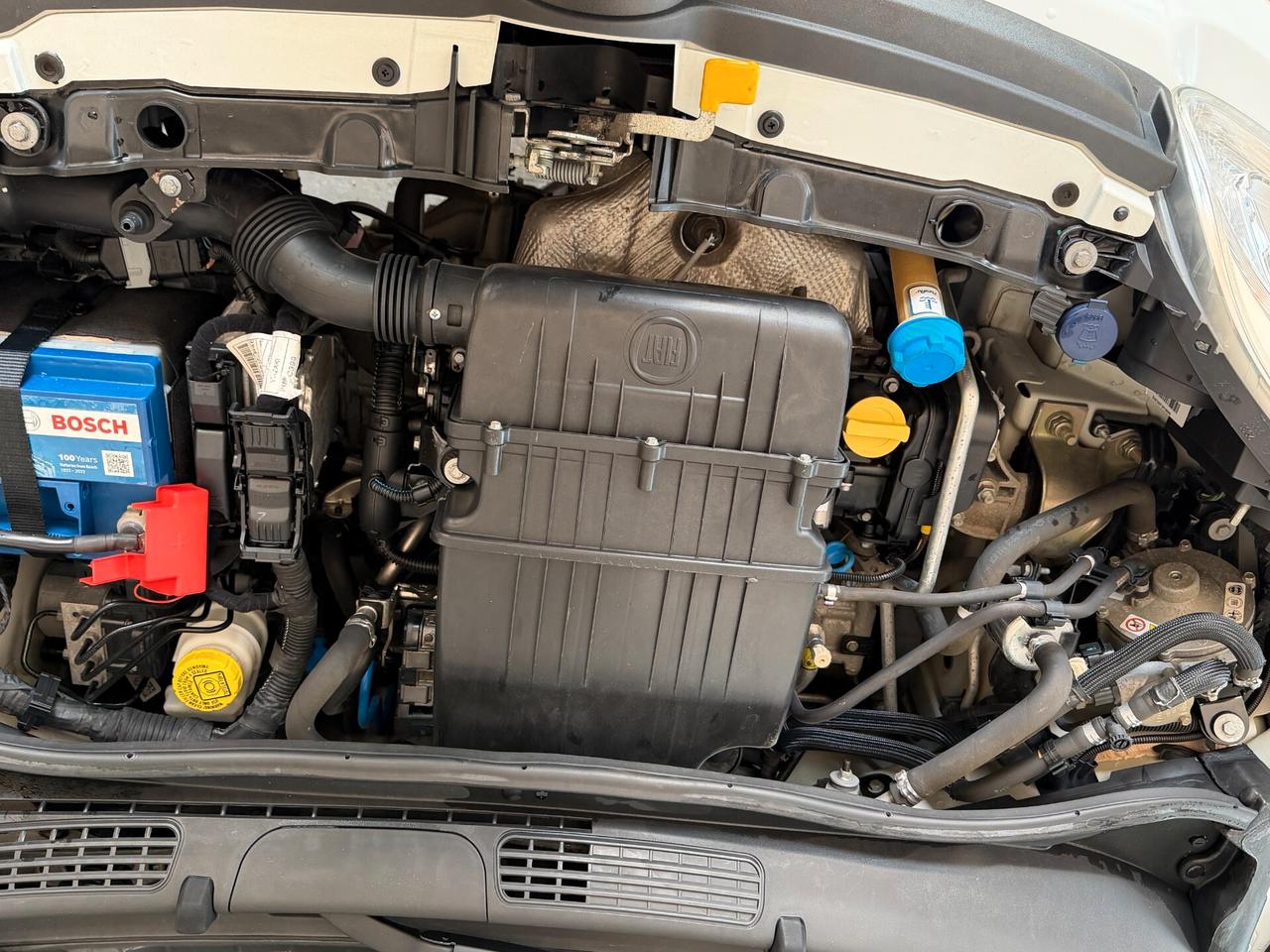 Fiat Panda New 1.2 69 cv. EasyPower EASY (Imp GPL)