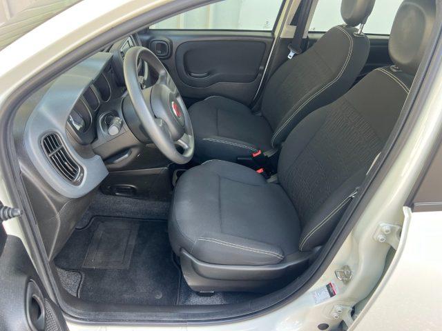 FIAT Panda 1.0 FireFly S&S Hybrid 70CV UNICO PROPRIETARIO
