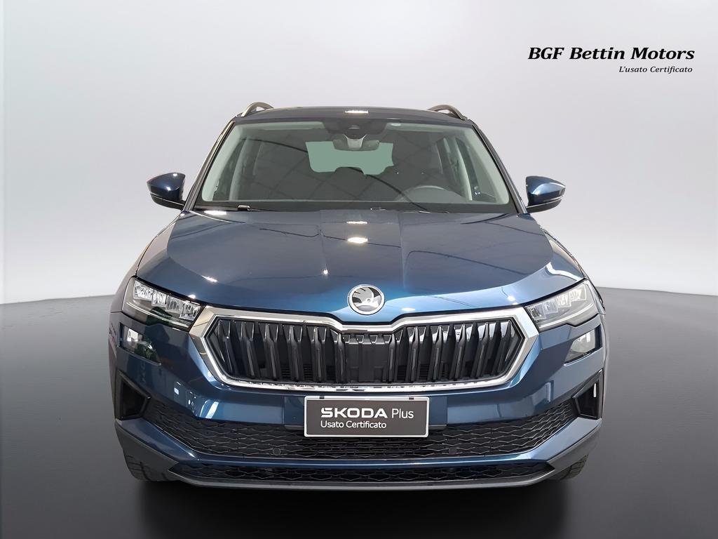 Skoda Karoq 2.0 tdi evo Executive 115cv dsg