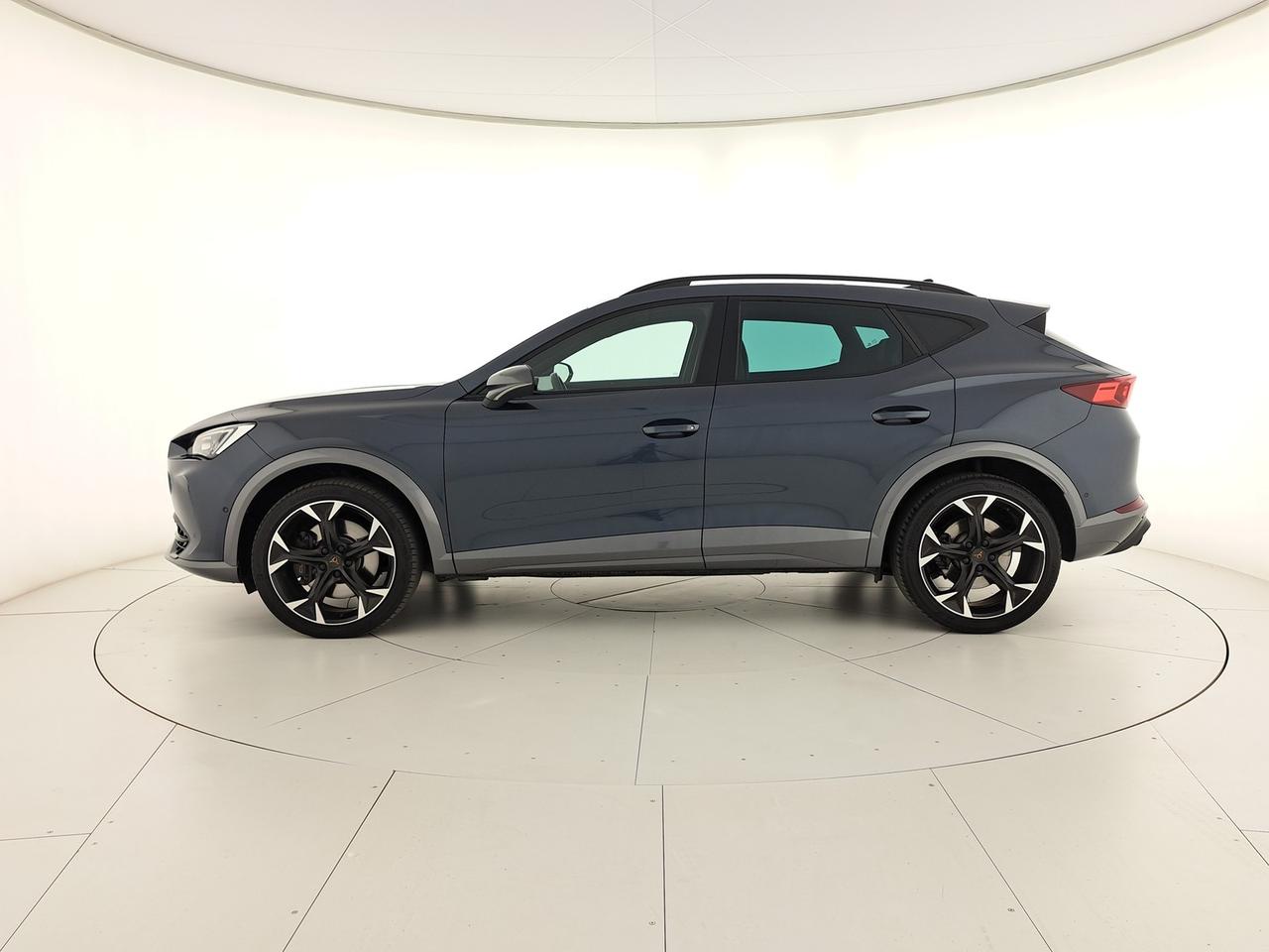 Cupra Formentor 2.0 tsi vz 4drive 310cv dsg