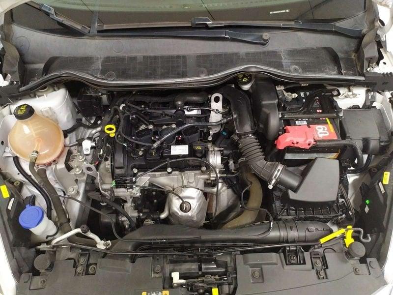 Ford Fiesta 5p 1.1 Plus 85cv my19