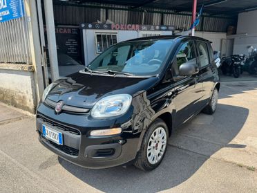 FIAT PANDA 1.2 EASY 69CV BENZINA 2020