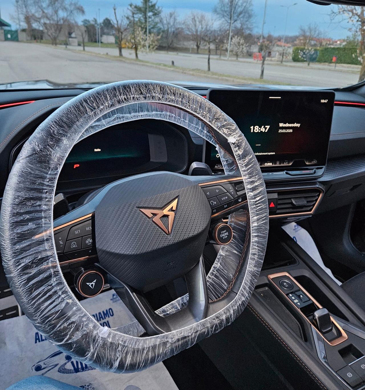 Cupra Formentor 2.0 TDI DSG