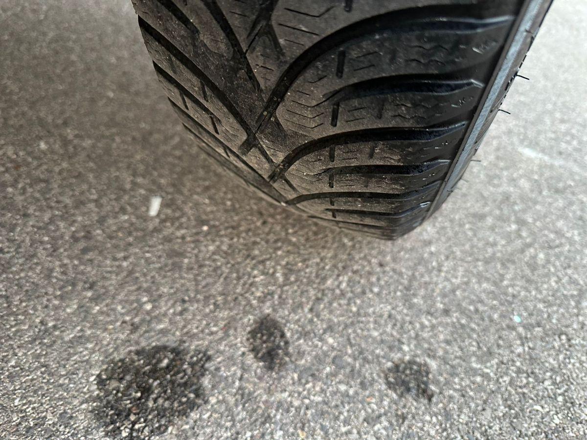 FIAT - Panda - 1.2 4x4 Glam