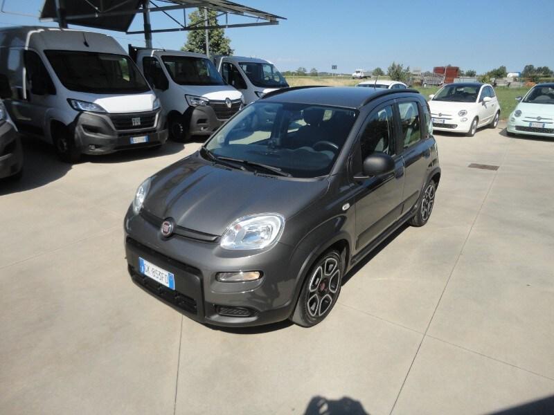 FIAT Panda 3ª serie Panda 1.0 FireFly S&S Hybr...