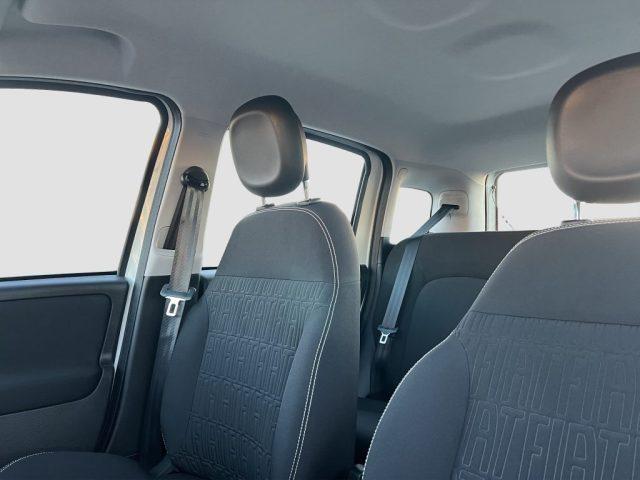 FIAT Panda Pandina 1.0 FireFly 65 CV Hybrid Icon