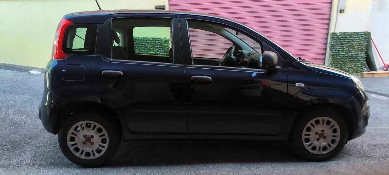 Fiat Panda 1.0 FireFly S&S Hybrid passaggio in omaggio per luglio