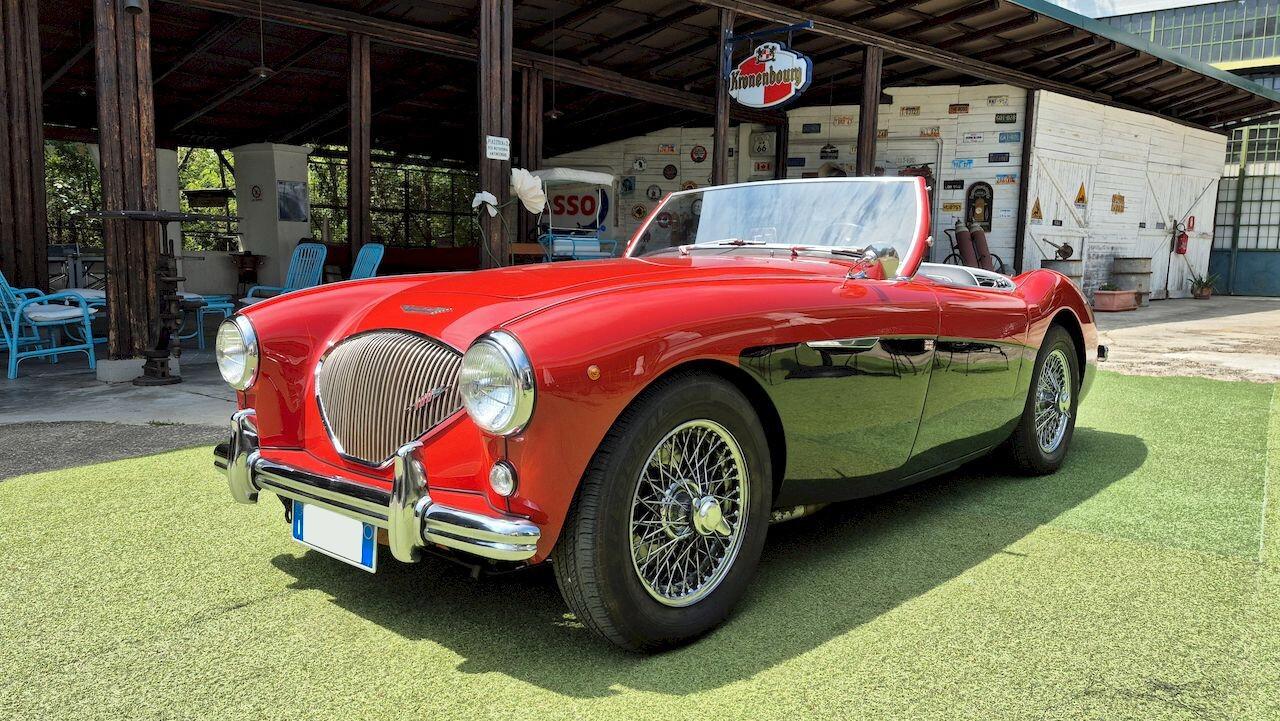 Austin-Healey 100 BN1 – 1954 - SUMMER PRICE