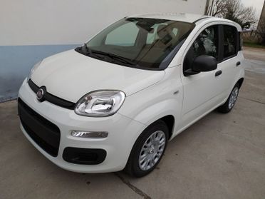 FIAT Panda 1.0 70cv Hybrid Promo CBC 5