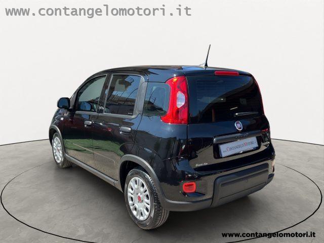 FIAT Panda 1.0 FireFly S&S Hybrid unico proprietario