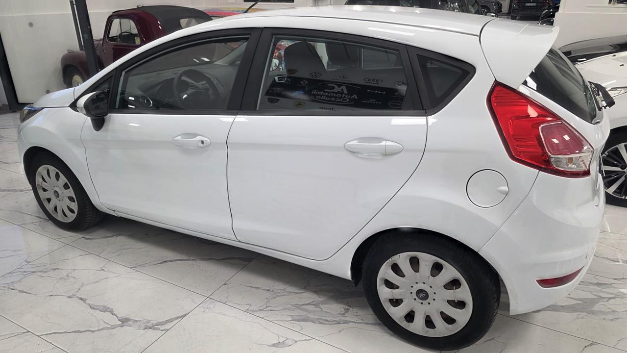 Ford Fiesta 1.2 60CV 5 porte Business