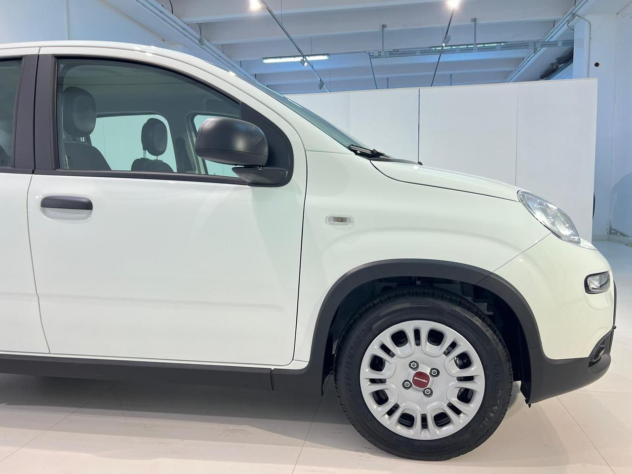 Fiat Panda 1.0 FireFly S&S Hybrid Panda