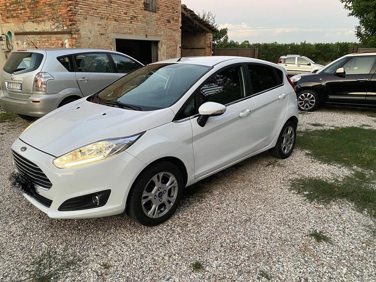 Ford Fiesta 1.4 5 porte Bz.- GPL Black & White Edition