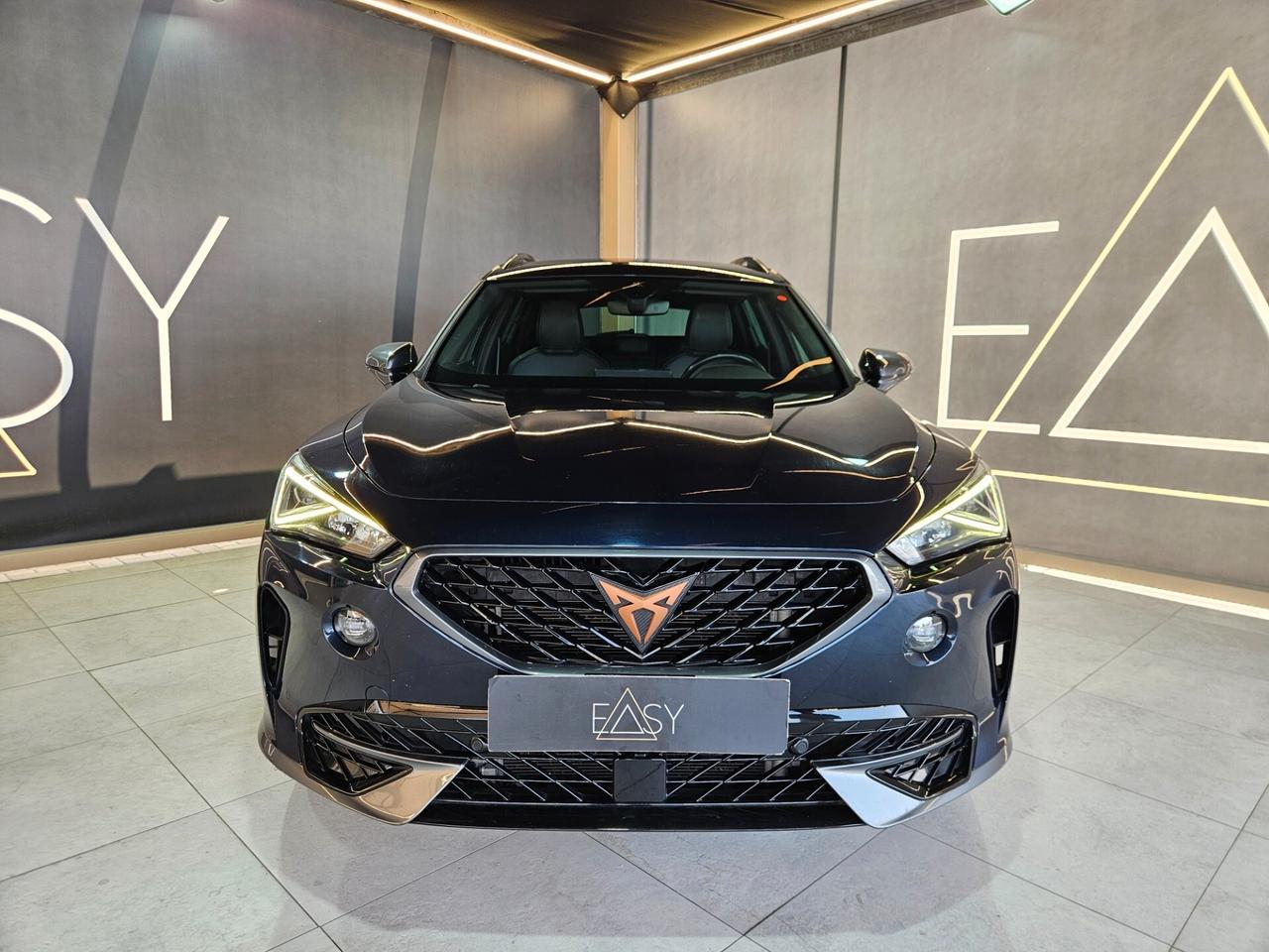 Cupra Formentor 2.0 TDI 4Drive DSG