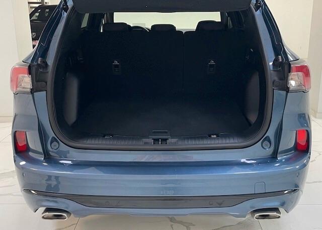 Ford Kuga 2.0 EcoBlue 120 CV aut. 2WD ST-Line