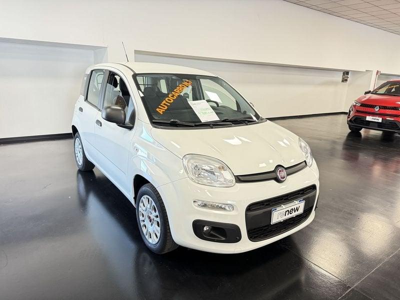 FIAT Panda AUTOCARRO N1 !!! PANDA 1.2 Easy s&s 69cv my19