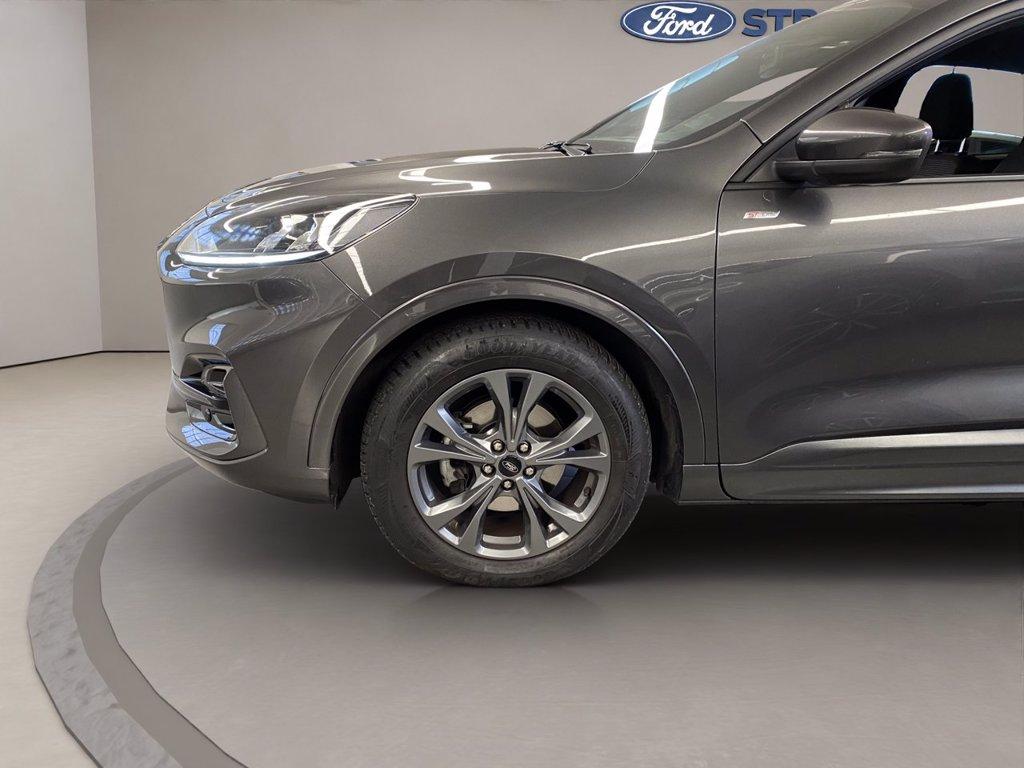 FORD Kuga 2.0 ecoblue ST-Line 2wd 120cv auto del 2024