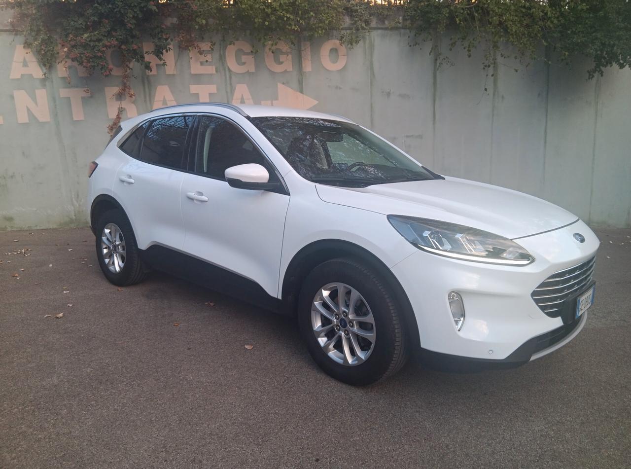 Ford Kuga 1.5 EcoBlue 120 CV 2WD Titanium Business