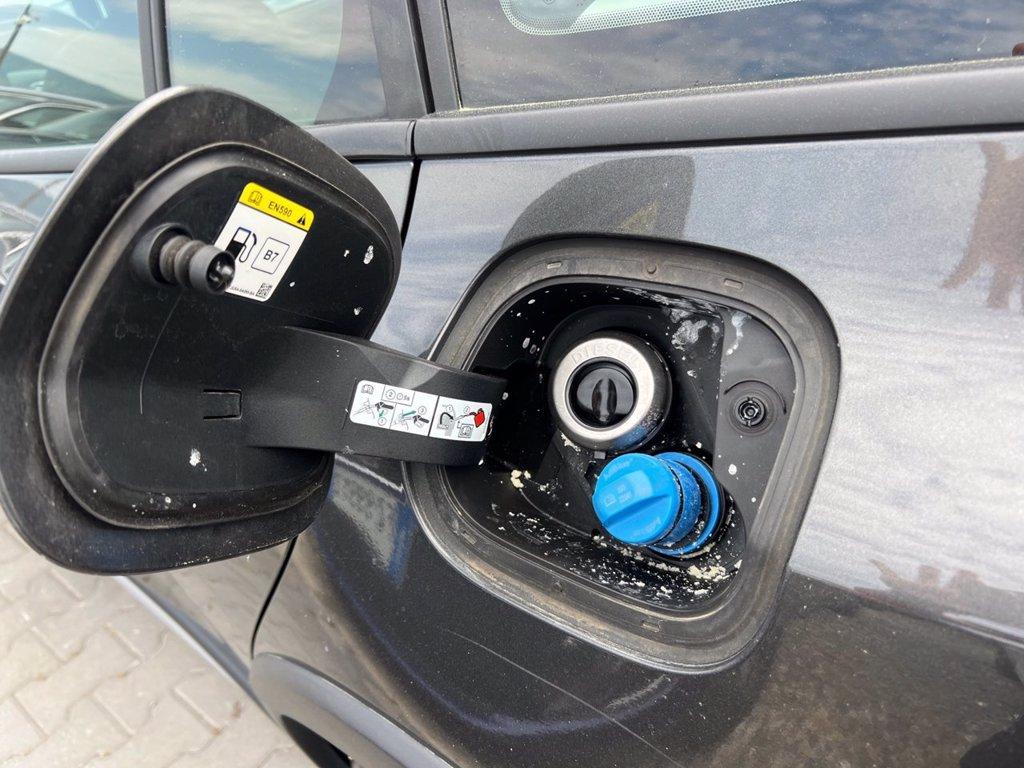 FORD Focus Active SW 1.5 ecoblue Design 120cv auto del 2022