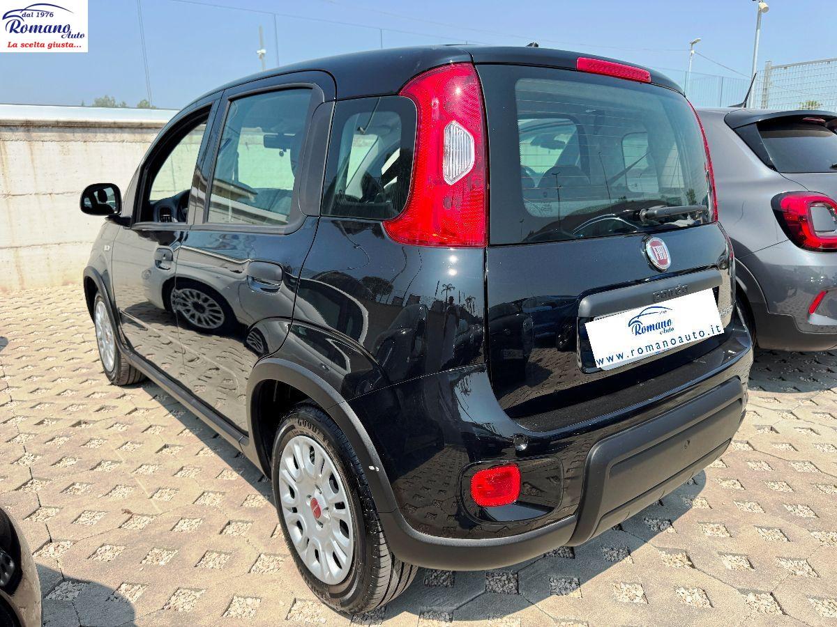 FIAT - Panda 1.0 hybrid 70cv 5p.ti#OK NEO PATENTATI!