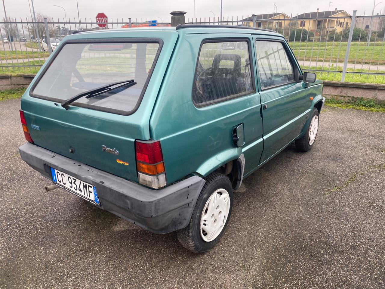 Fiat Panda 1100 i.e. cat College