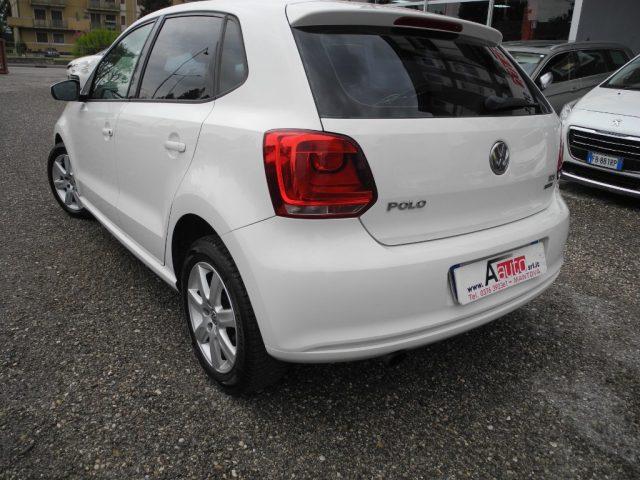 VOLKSWAGEN Polo 1.6 TDI DPF 5p. Highline BlueMotion - OK NEOPATEN.