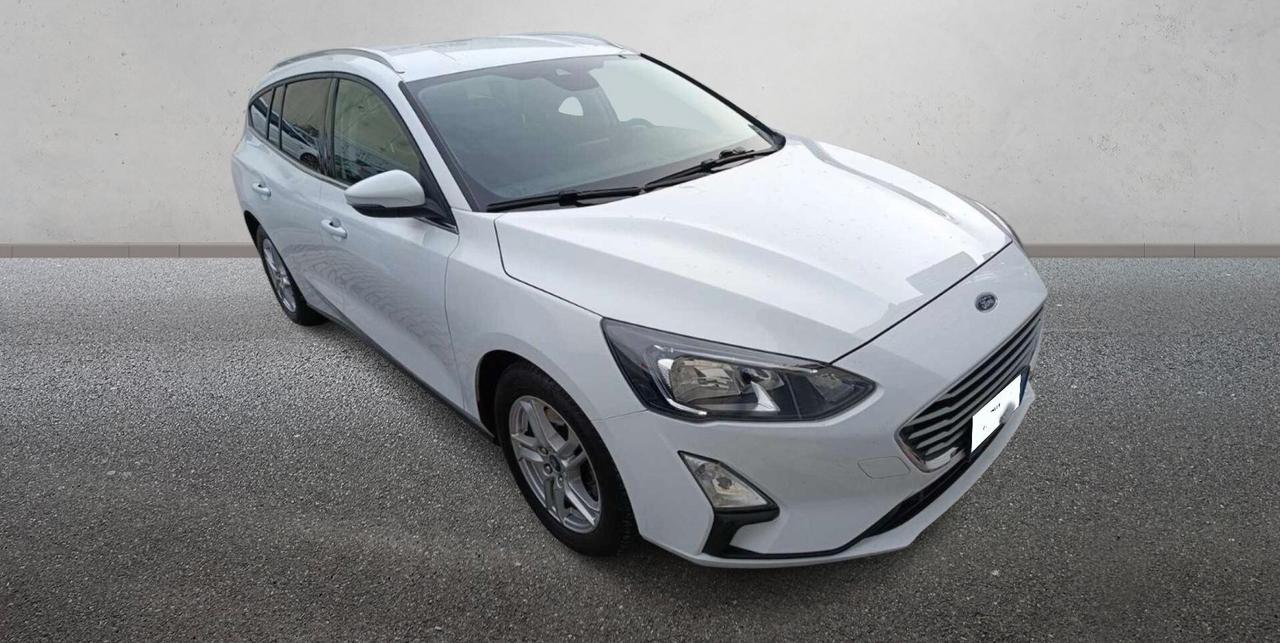 Ford Focus 1.5 EcoBlue 95 CV SW Business (IN ARRIVO)
