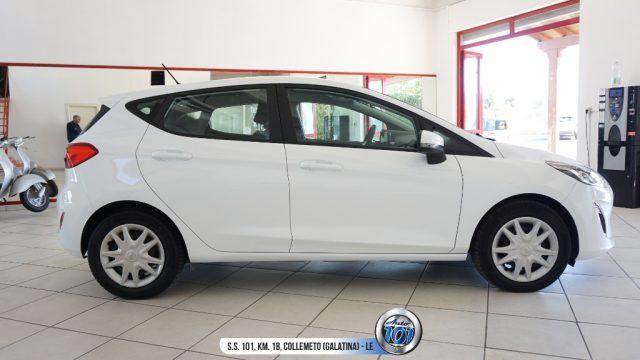 FORD Fiesta 1.5 EcoBlue 5 porte Business